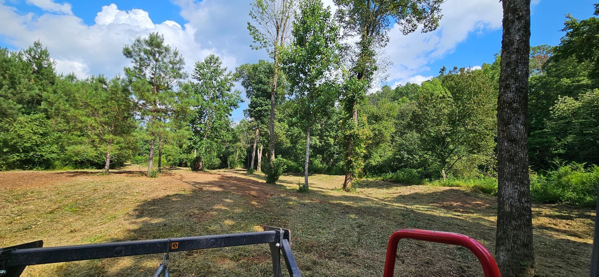 A tractor is driving through a lush green forest.