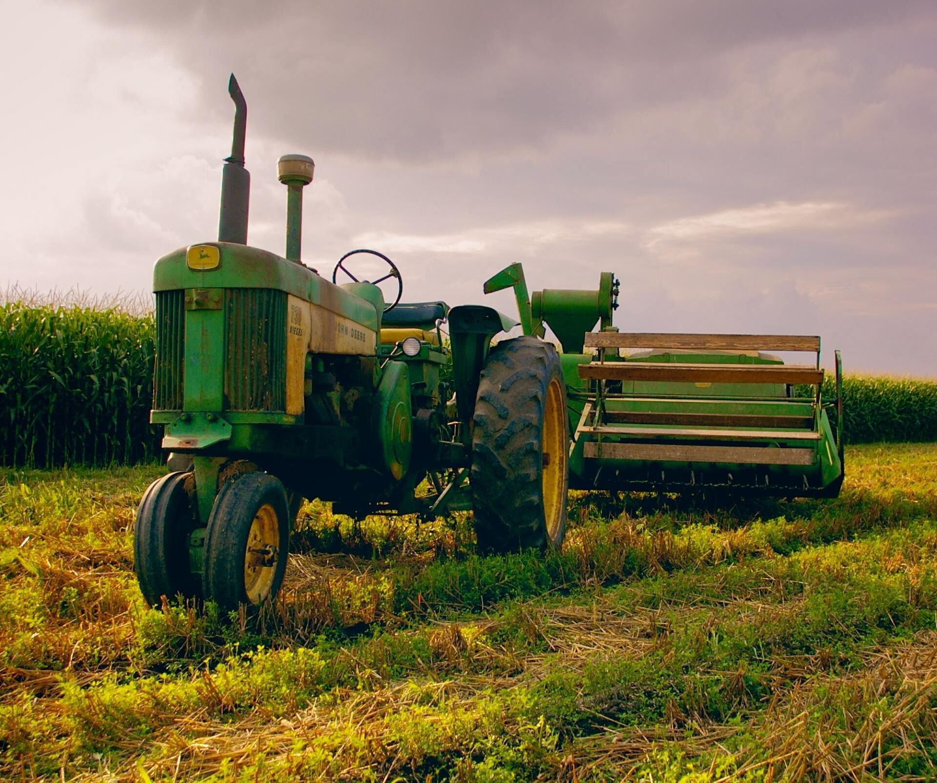 Grass being cut and cleared with a brush hog mower in a field.