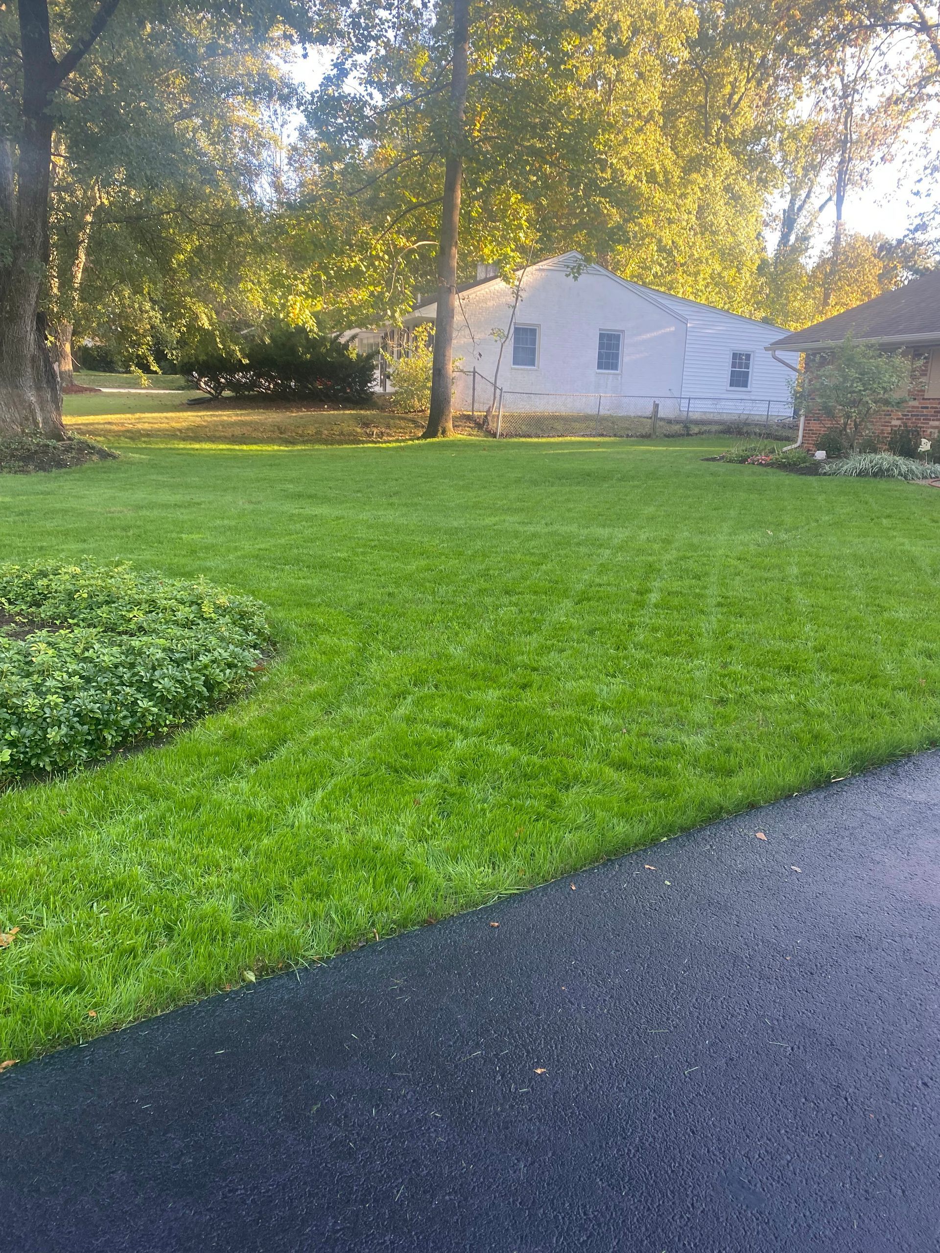 A lush green lawn with a white house in the background.