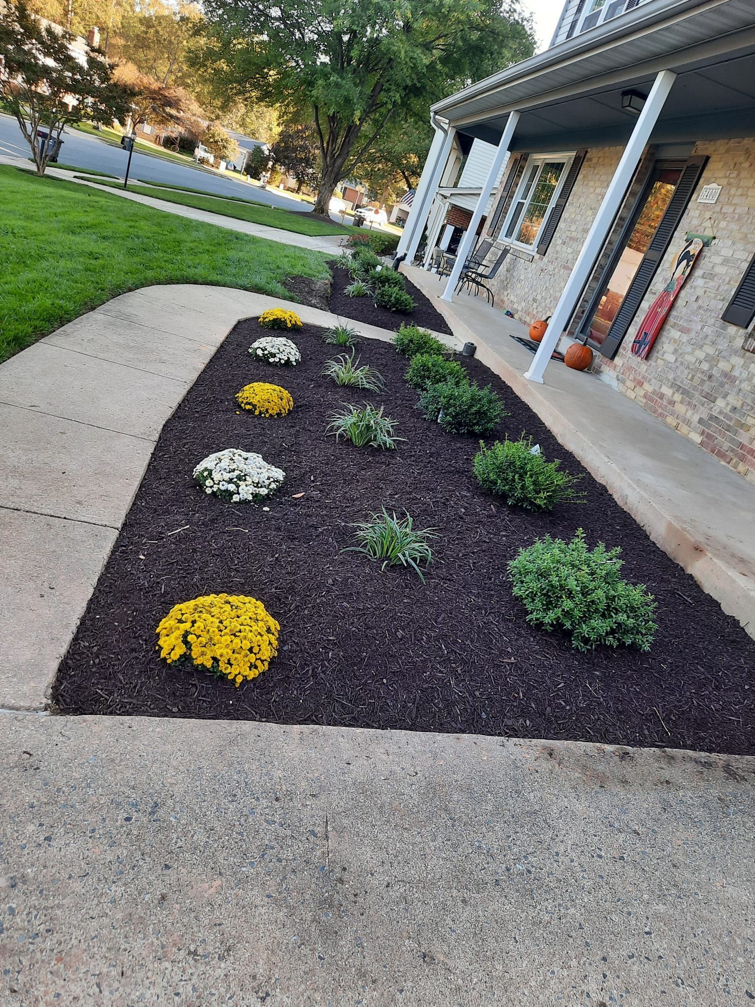 A row of flowers in a garden next to a sidewalk in front of a house.