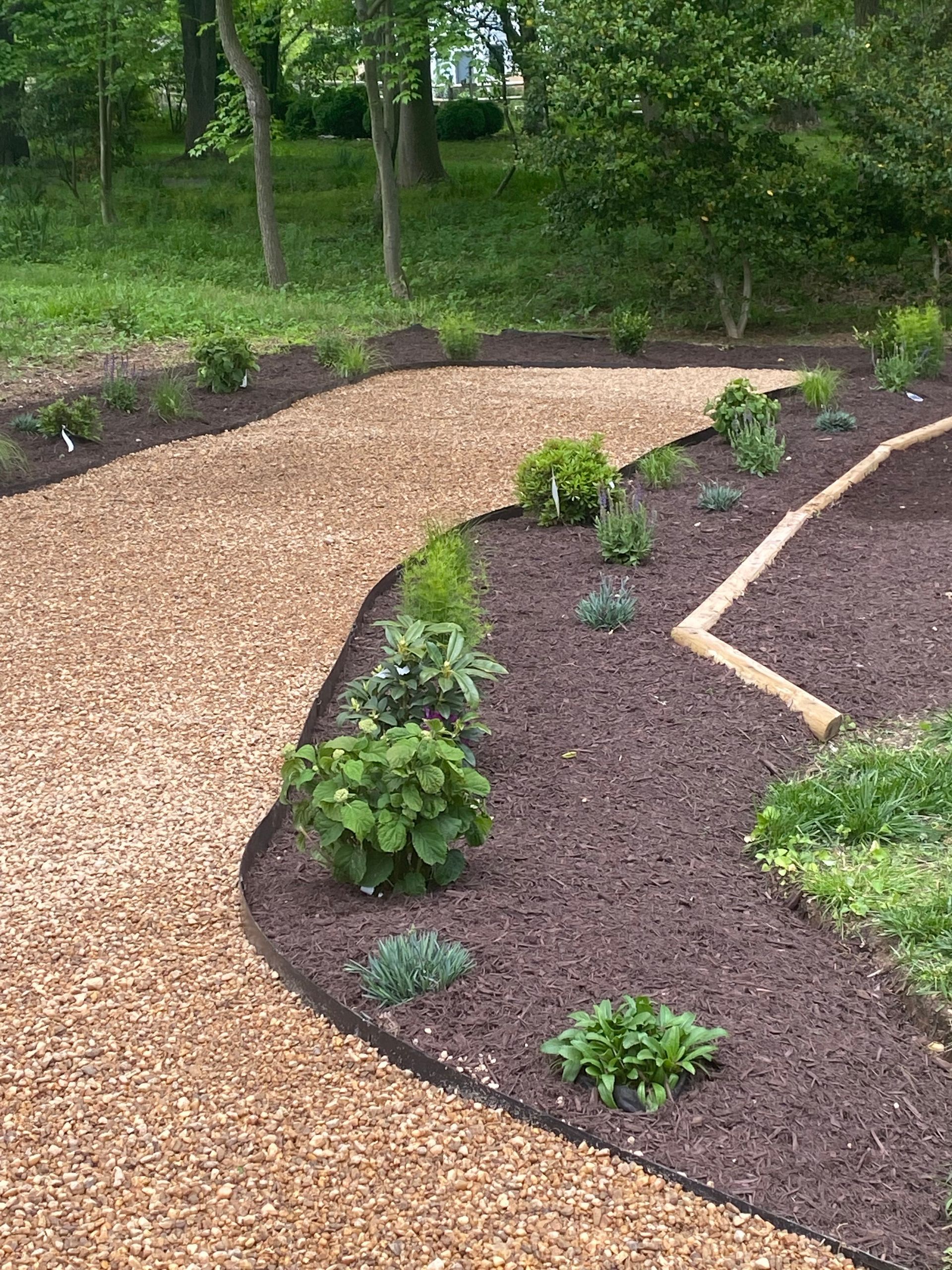 A path surrounded by mulch and plants in a garden.