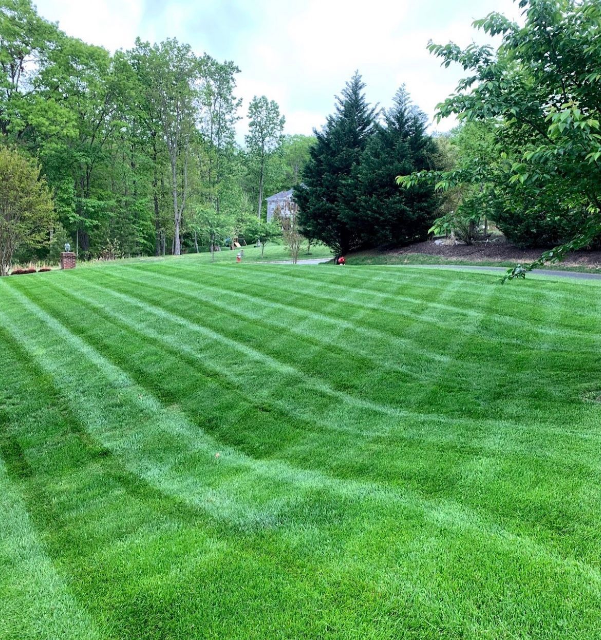 A lush green lawn with trees in the background