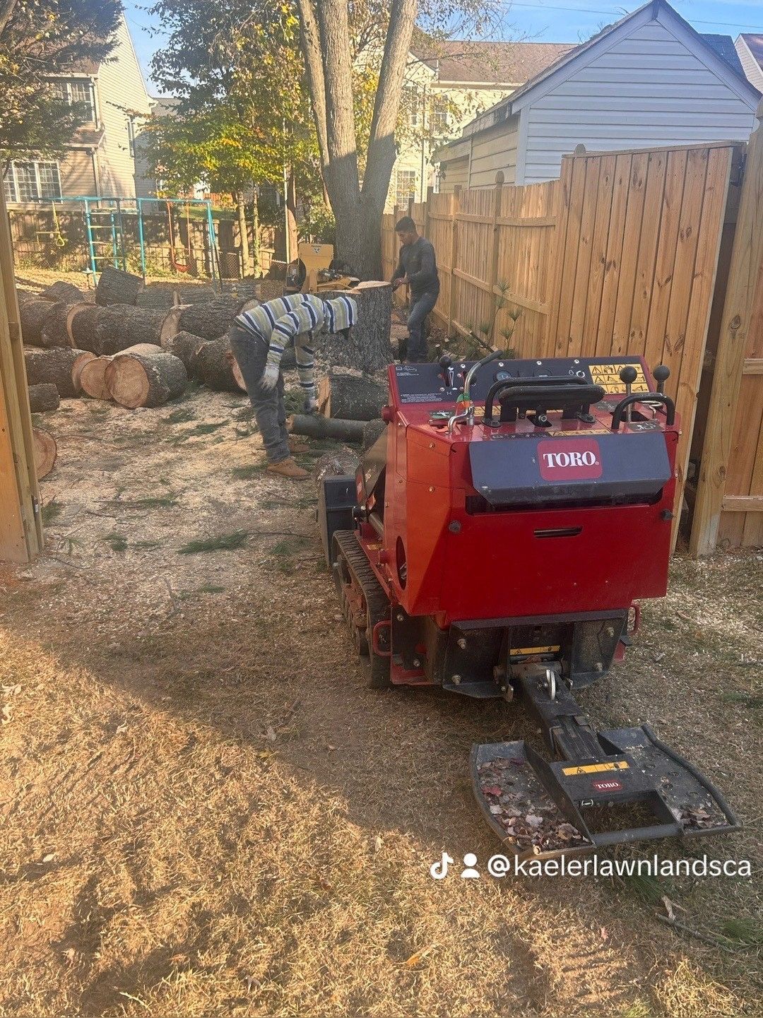 A man is cutting a tree with a chainsaw in a backyard.