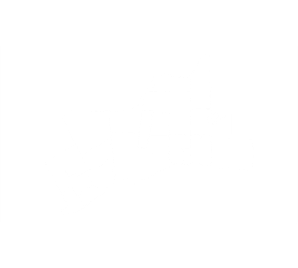 Toronto Map in red