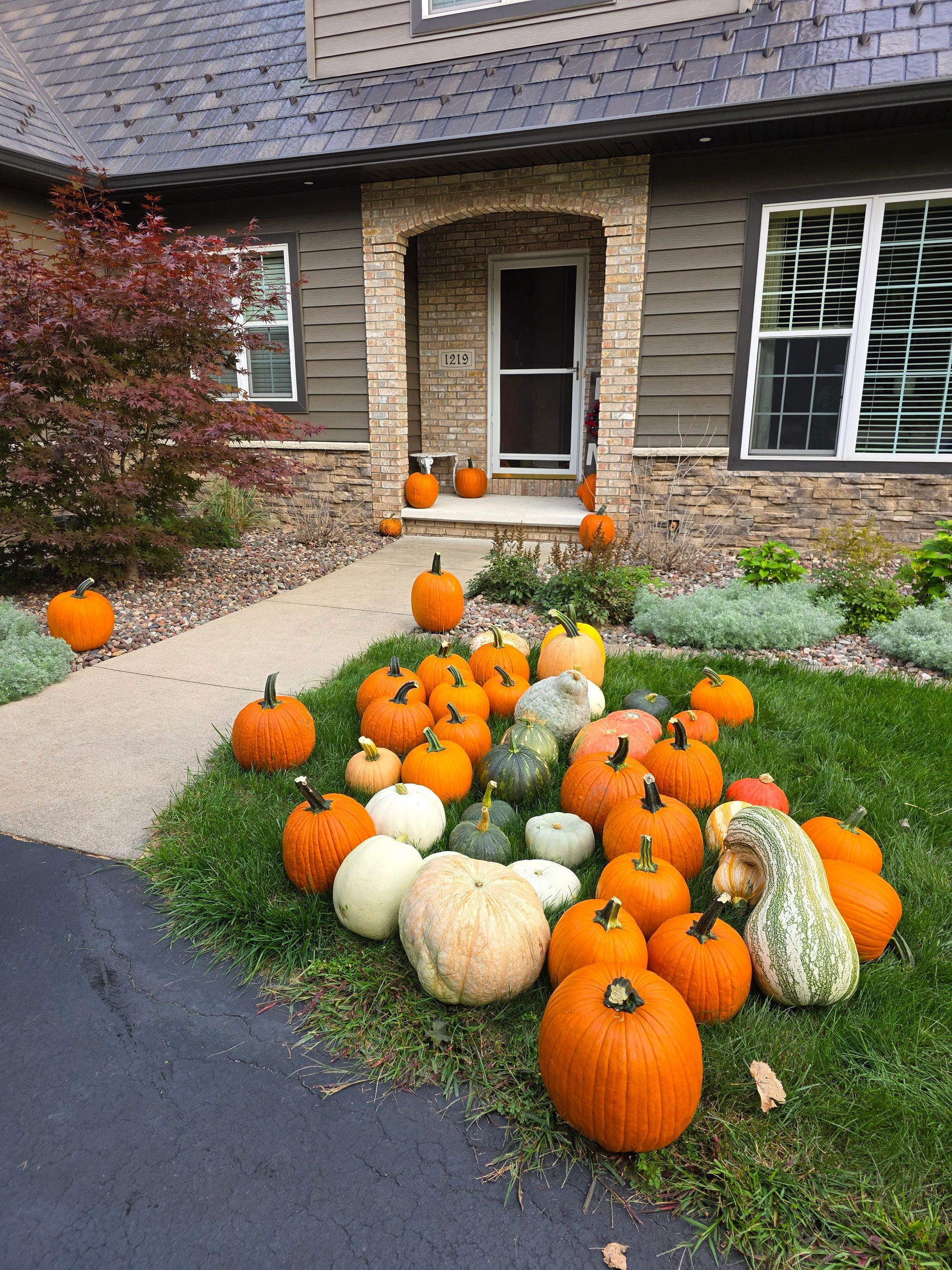 Pumpkins of various sizes and colors decorate a lawn and porch for fall.