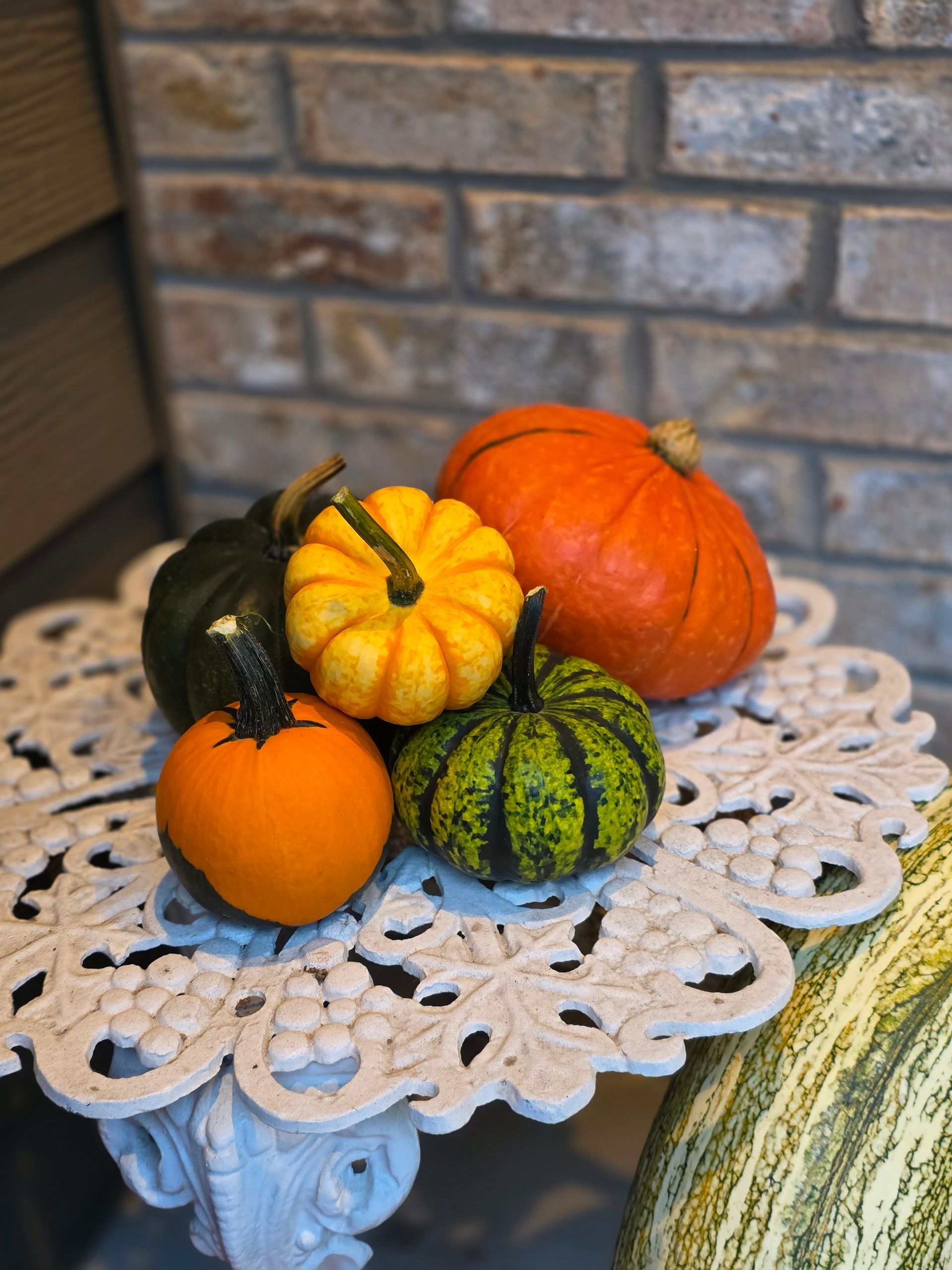 Assortment of colorful pumpkins on a decorative white lace-like table, in front of a brick wall.