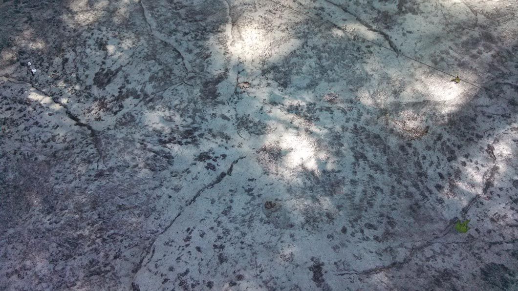 A close up of a concrete surface with a tree shadow on it.