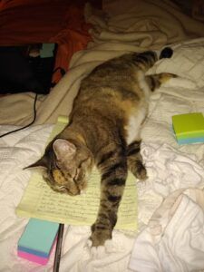 Cat lying on bed, stretching over a yellow notepad, next to colorful sticky notes.