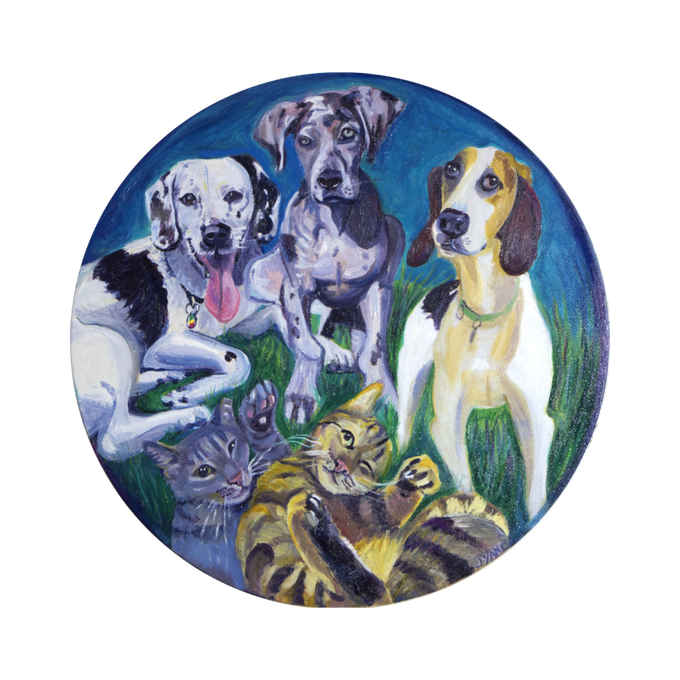 Five pets: Dalmatian, Great Dane, Beagle, and two cats, grouped in a blue circle on green grass.