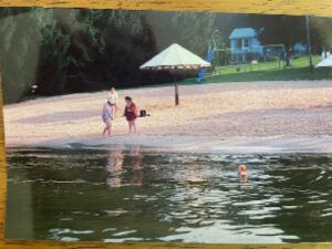 Beach scene: people on sand, dog swimming, umbrella. Shoreline with buildings in the background.