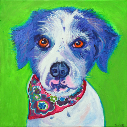 Dog portrait with blue and white fur, orange eyes, wearing a pink patterned bandana, against a green background.