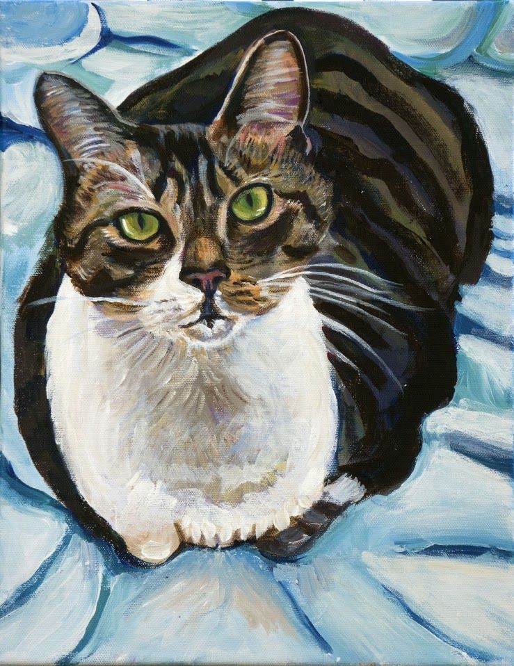 Tabby cat with green eyes and white chest on a blue, textured background.
