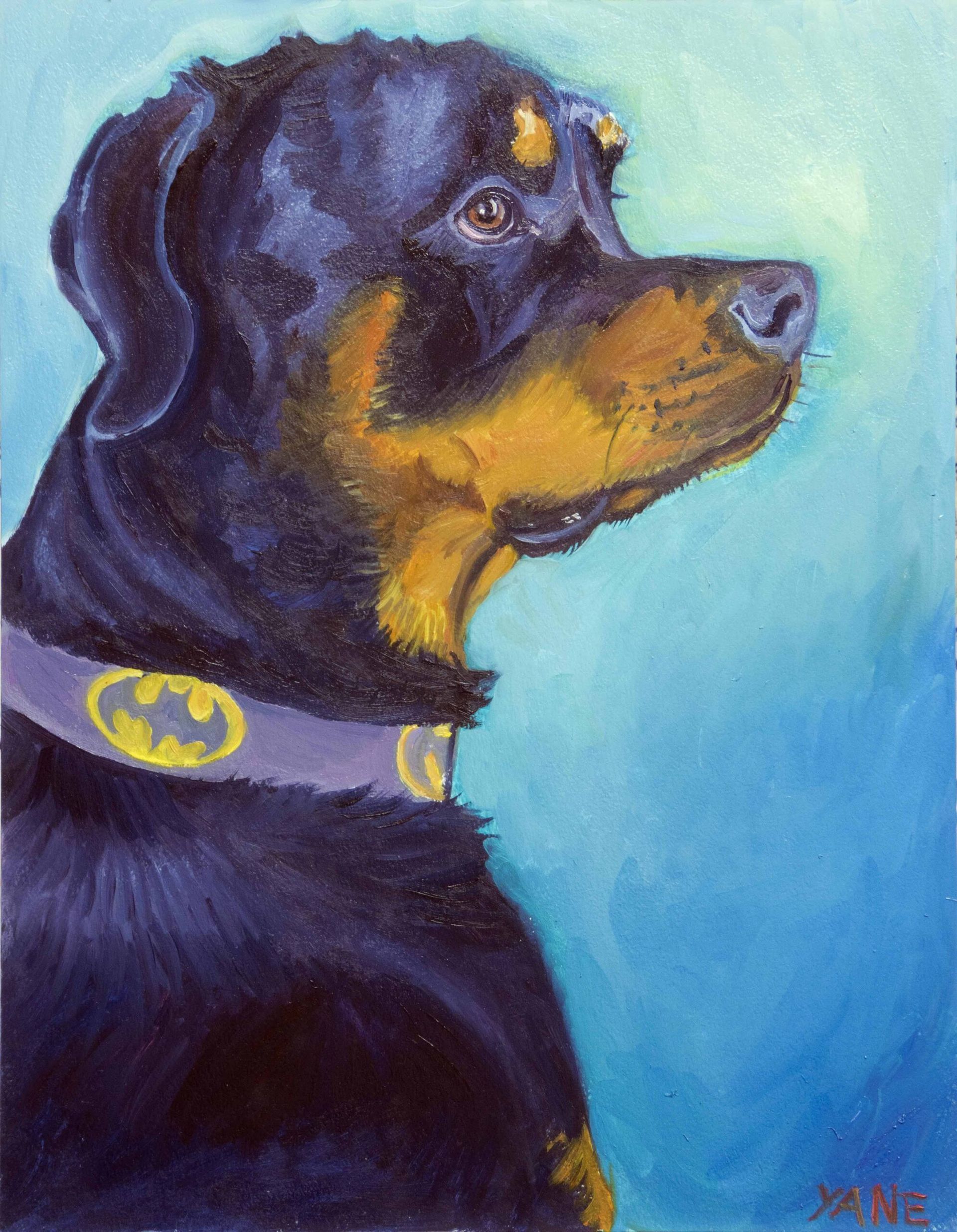 Rottweiler dog wearing a Batman collar, set against a teal background.