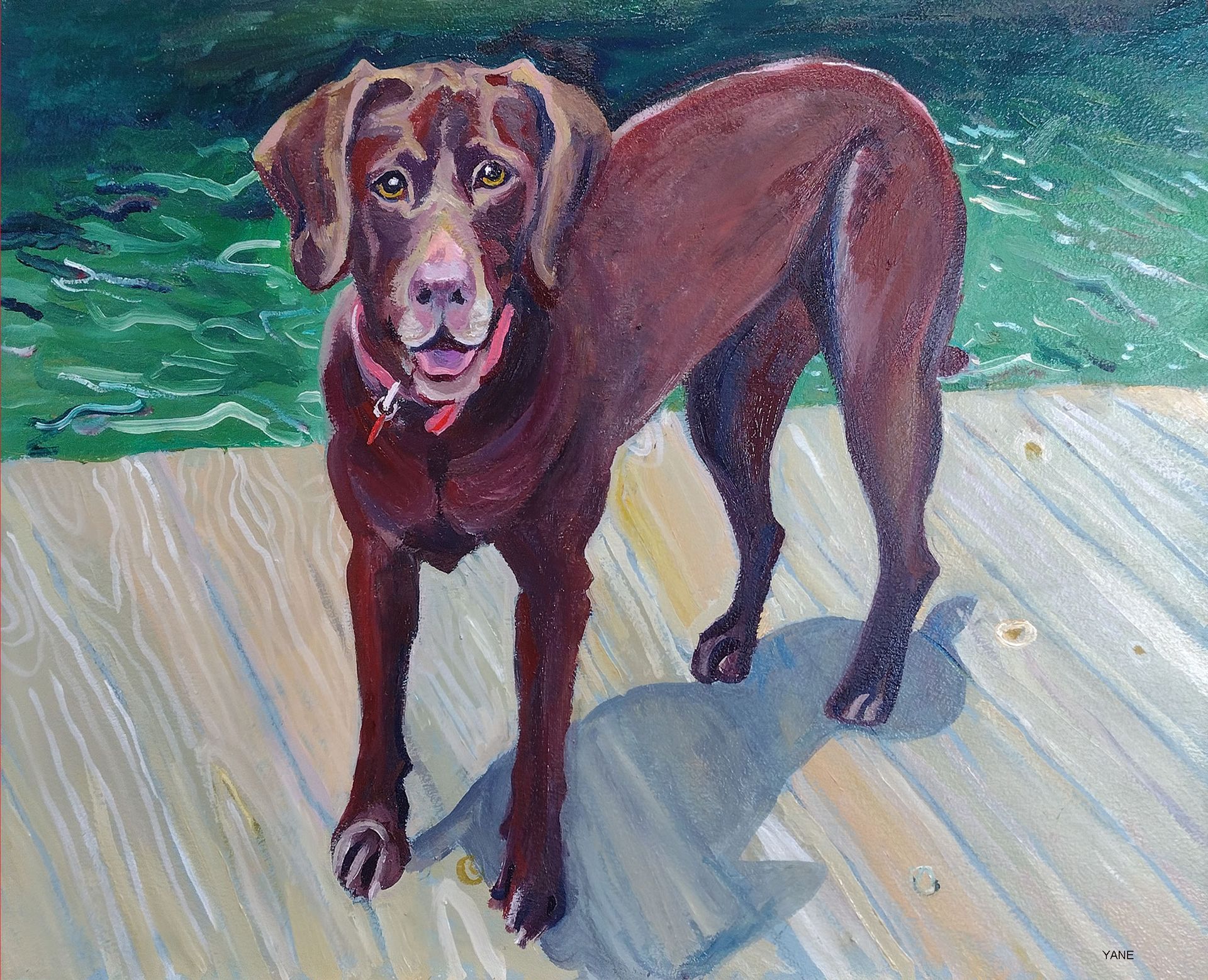 Chocolate Labrador on wooden dock, facing forward with a happy expression. Water in the background.