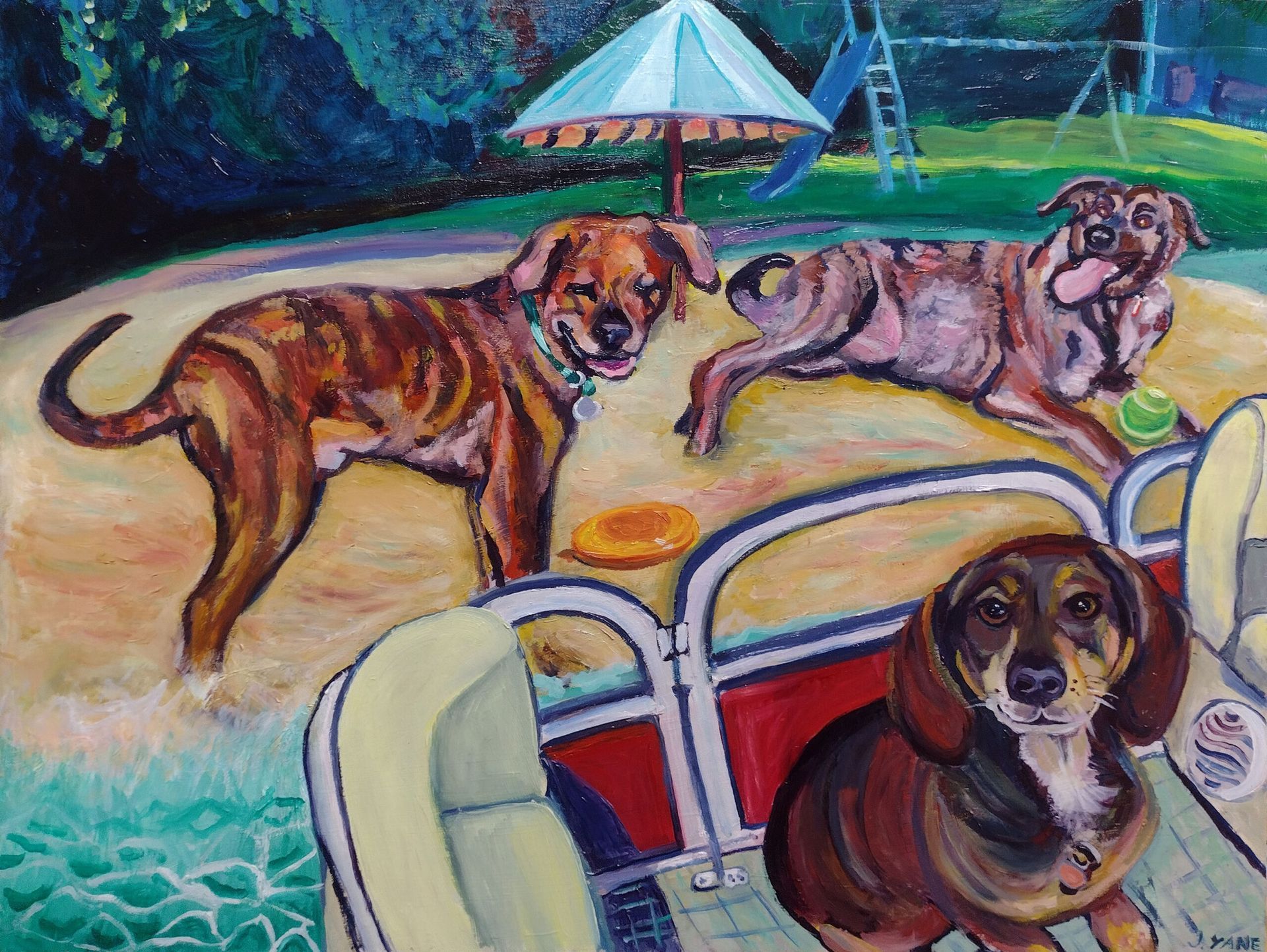 Three dogs playing in a yard with a small umbrella and a swing set; a dachshund in the foreground.