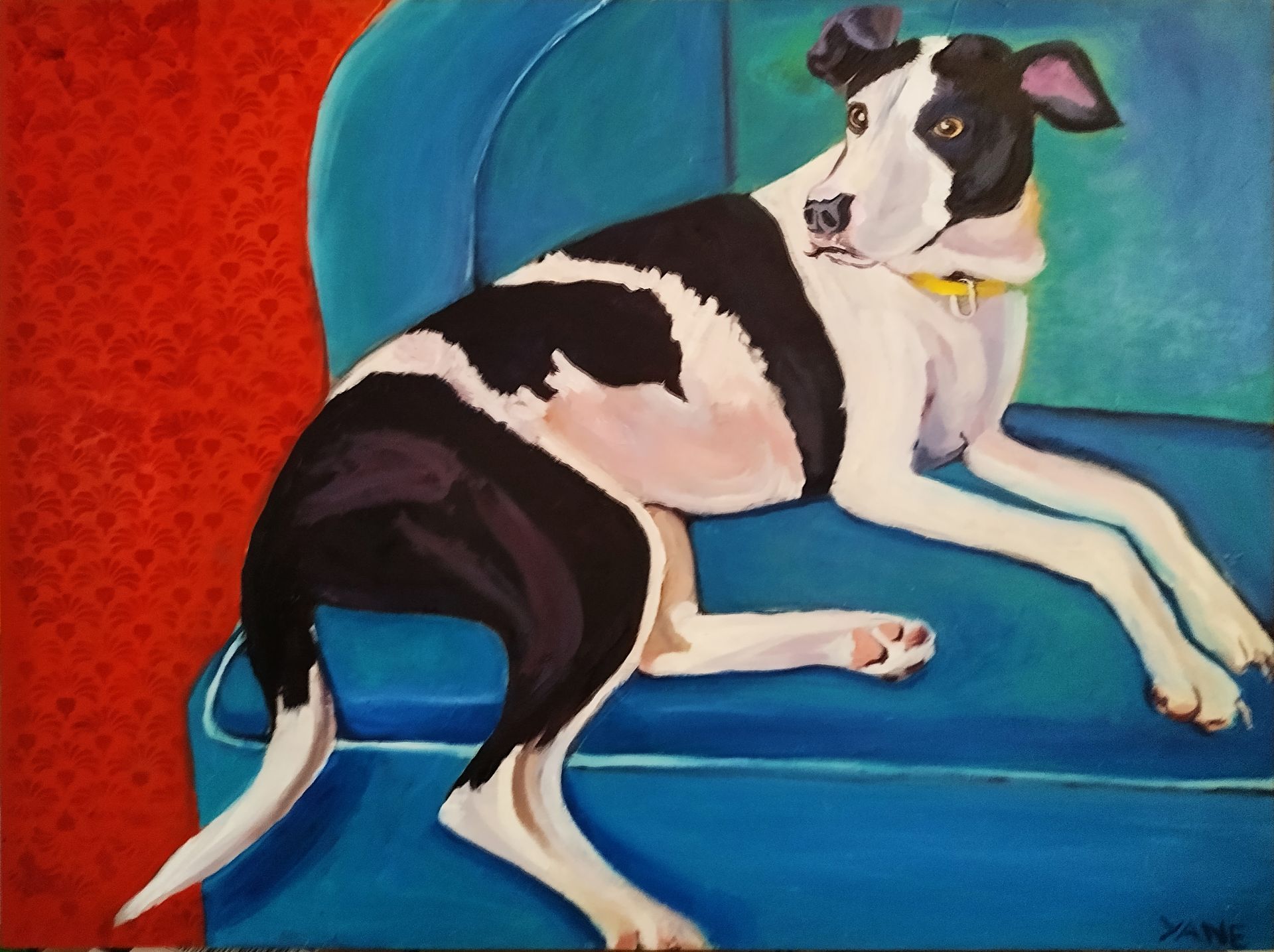 Black and white dog relaxing on a blue armchair, against a red textured wall.