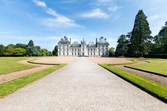 There is a large castle in the background and a path leading to it.