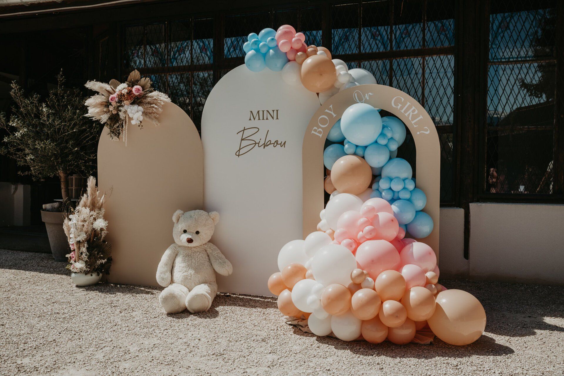 Gender reveal