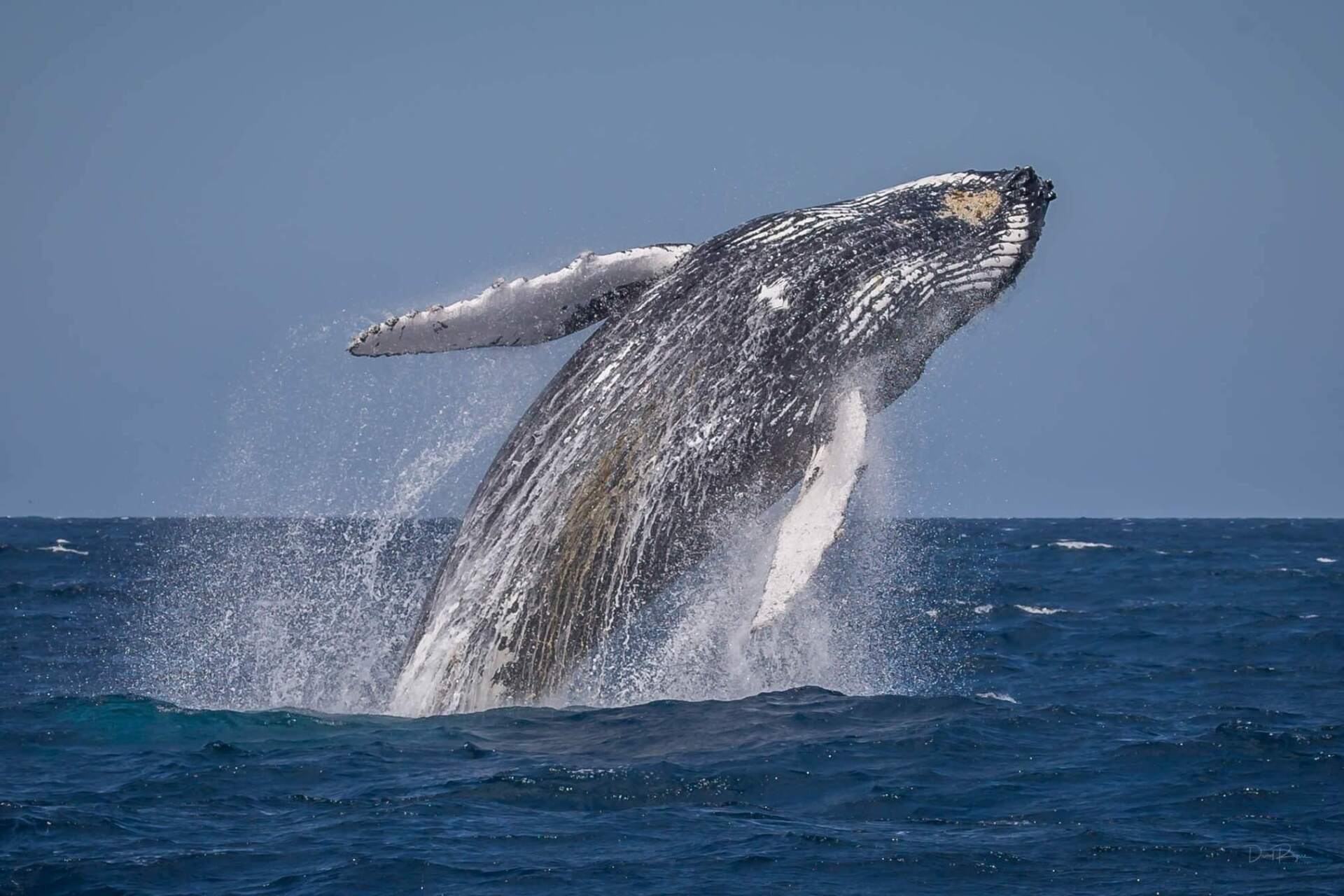 It's in our nature - Visit Tathra, Sapphire Coast, New South Wales