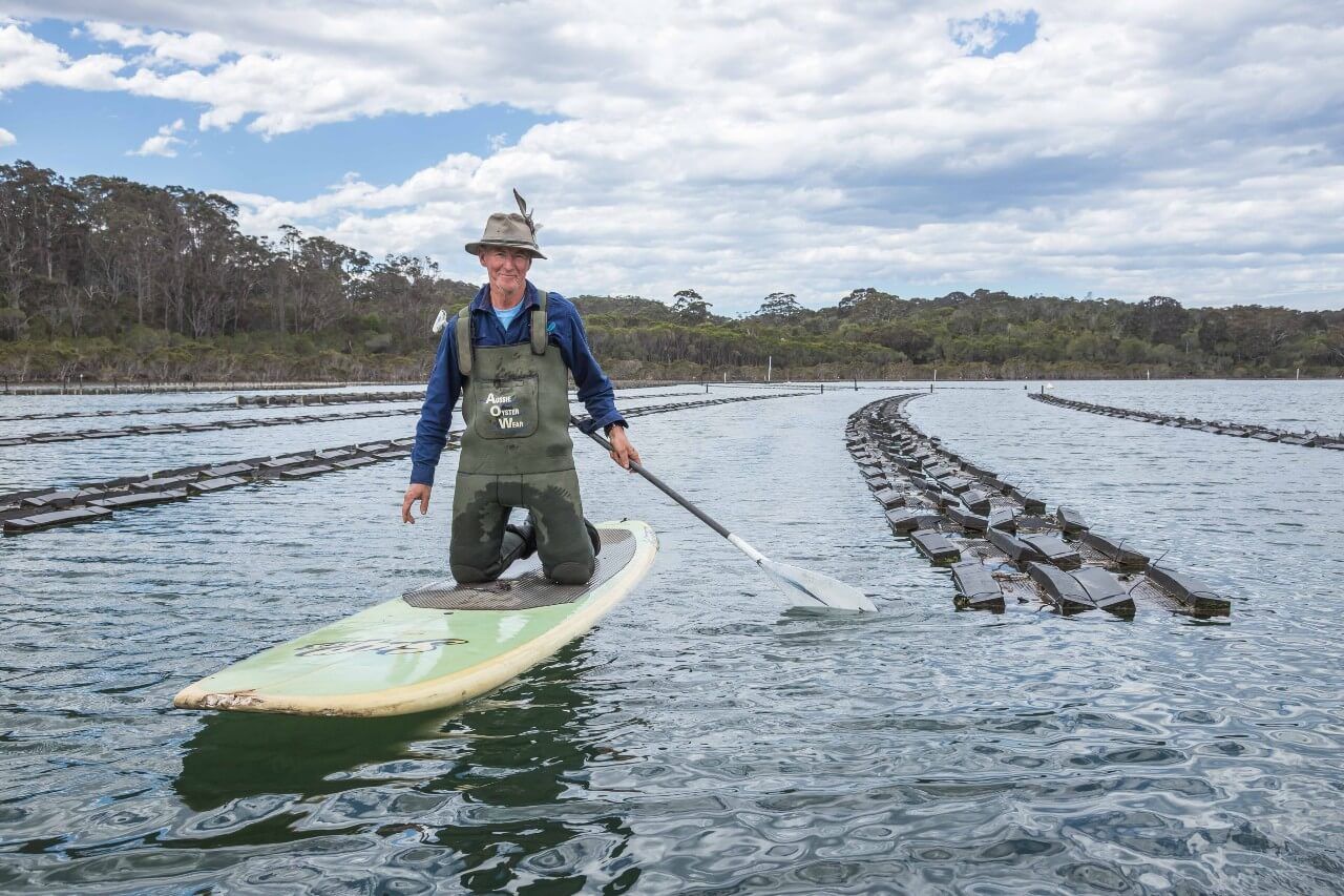 Tathra oyster farm