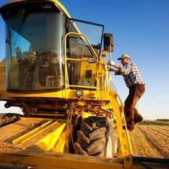 Man climbing onto a yellow combine harvester in a field.