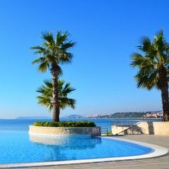 Palm trees beside a curved blue pool overlooking a bright blue ocean. Clear sunny day.