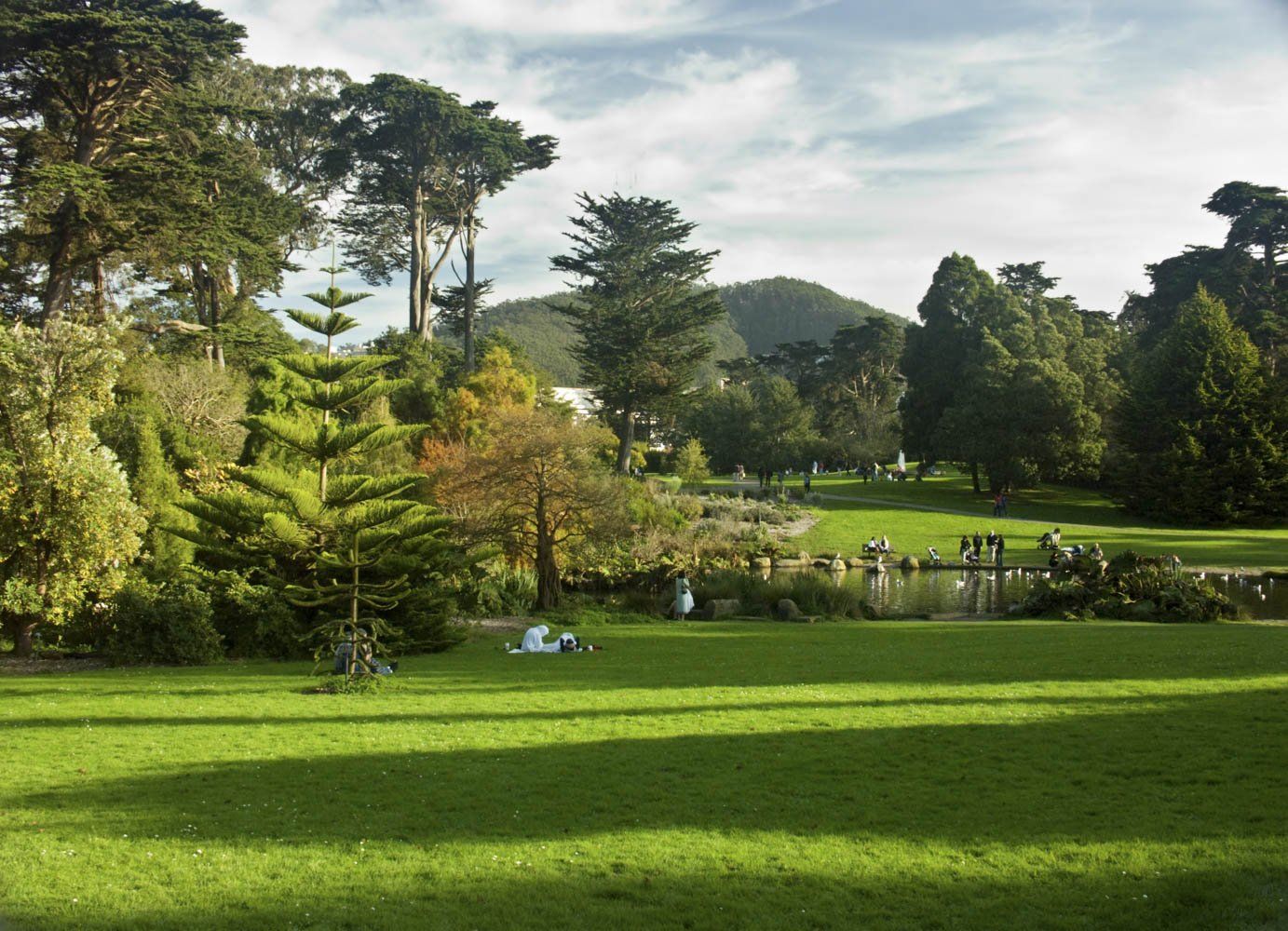 golden gate park