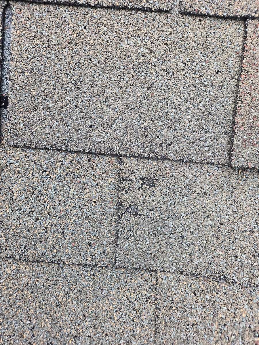 Granule loss and impact damage from the hail or other flying debris.