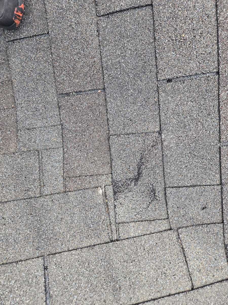 Shingle creased from flapping in the wind during a storm in Wilmington NC.