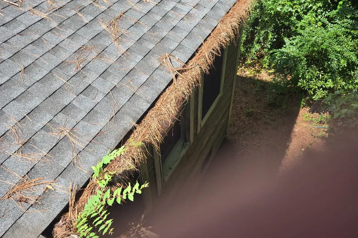 Clogged gutters with pine needles and vegetation causing fascia damage on a Wilmington NC home.