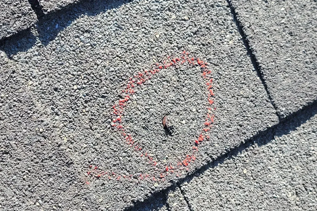 Exposed nail head pushing through shingle surface found during a Wilmington NC roof inspection.