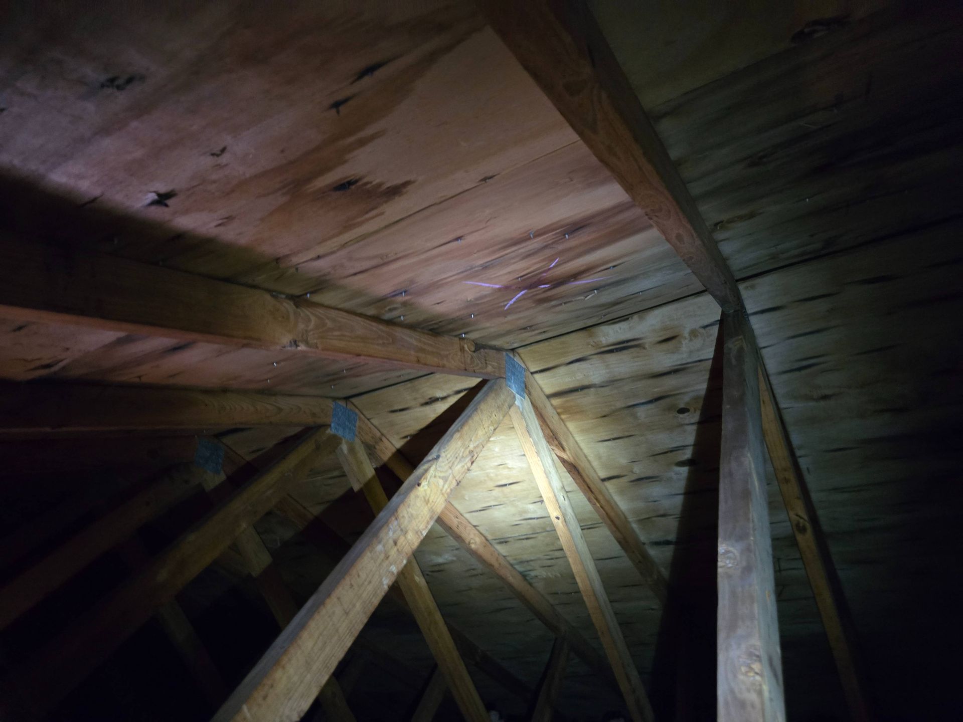 Checking attic during roof inspection services in Boiling Springs Lakes, NC