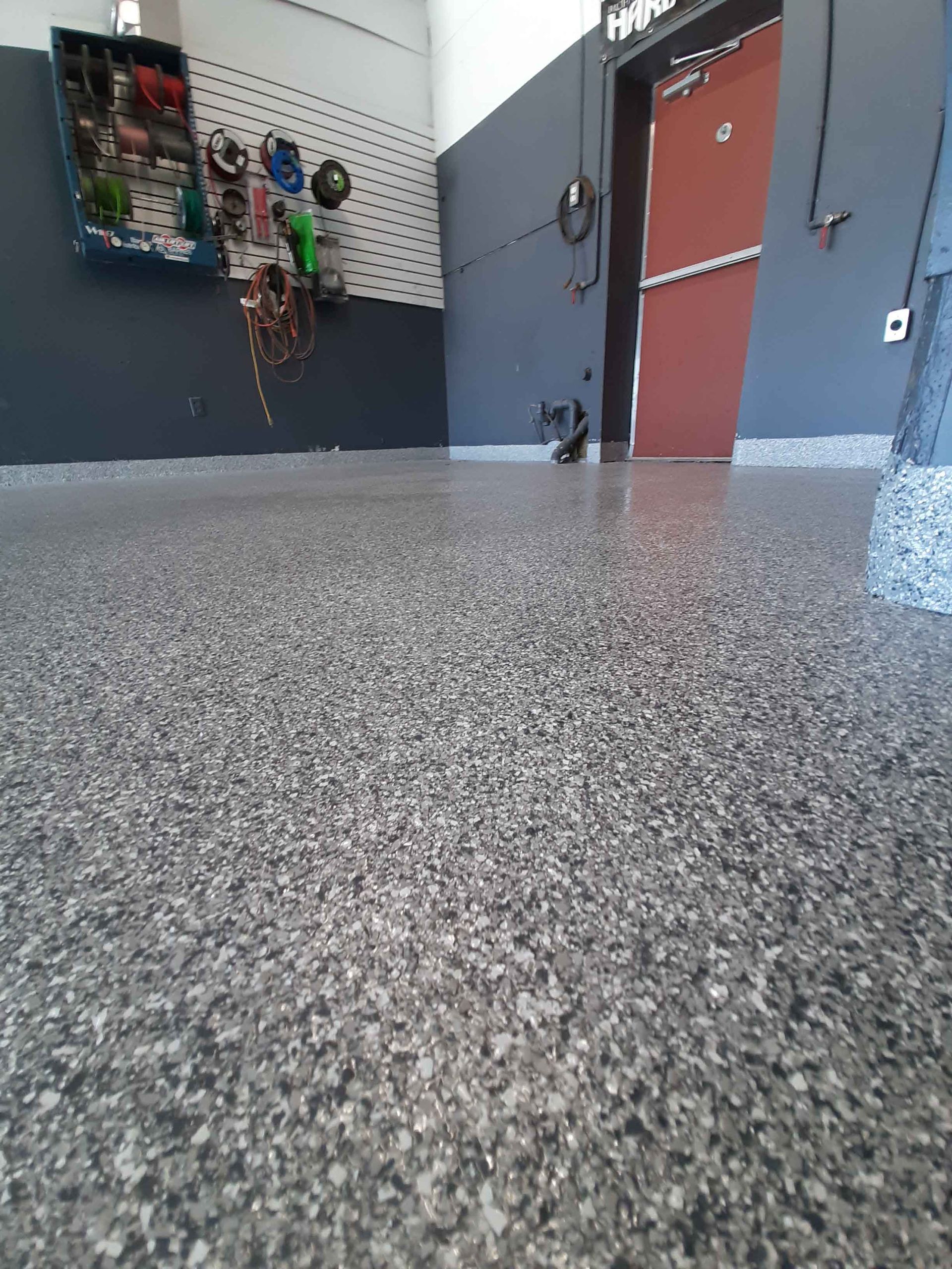 Un chien se tient debout sur un sol en béton dans une pièce.