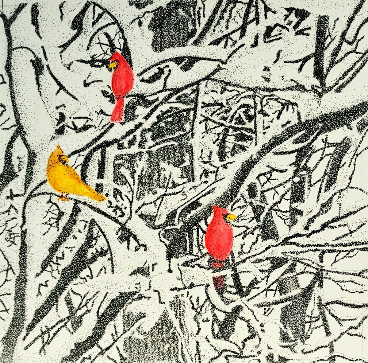 Feathered Friends