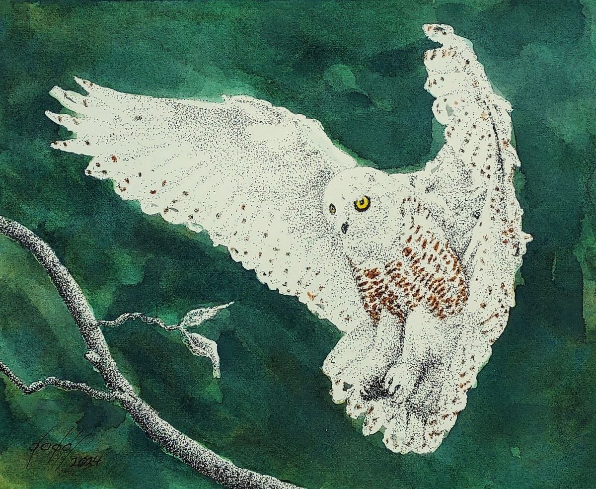 Snow Owl Landing