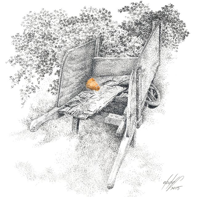 Wheelbarrow