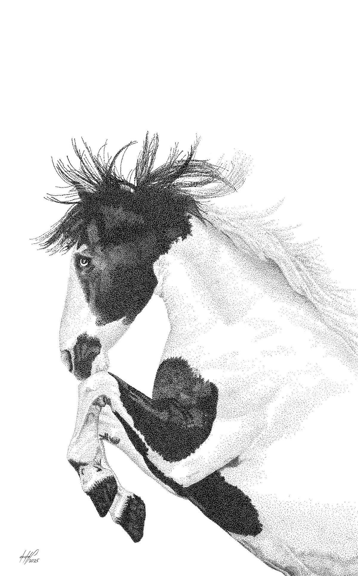 Wild Spirit