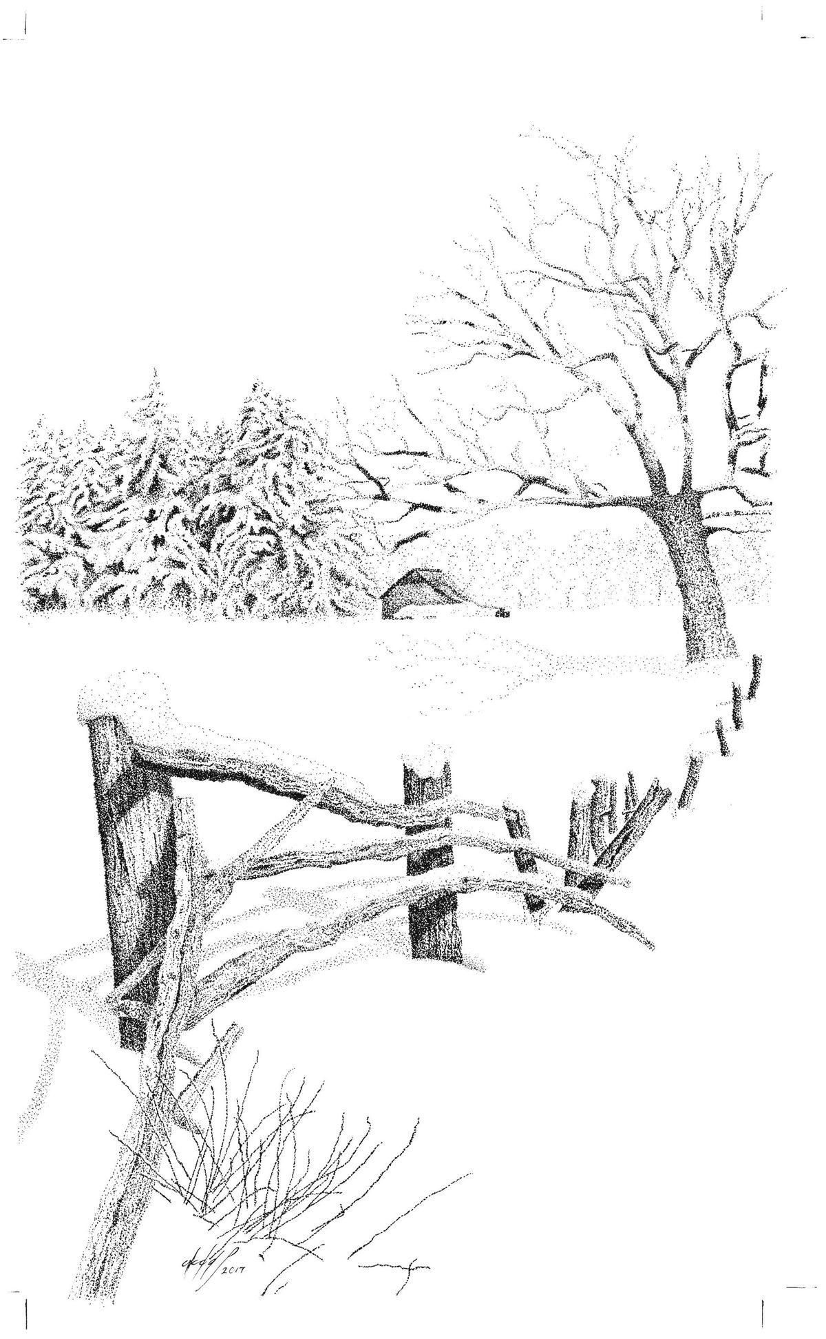 Winter Fence