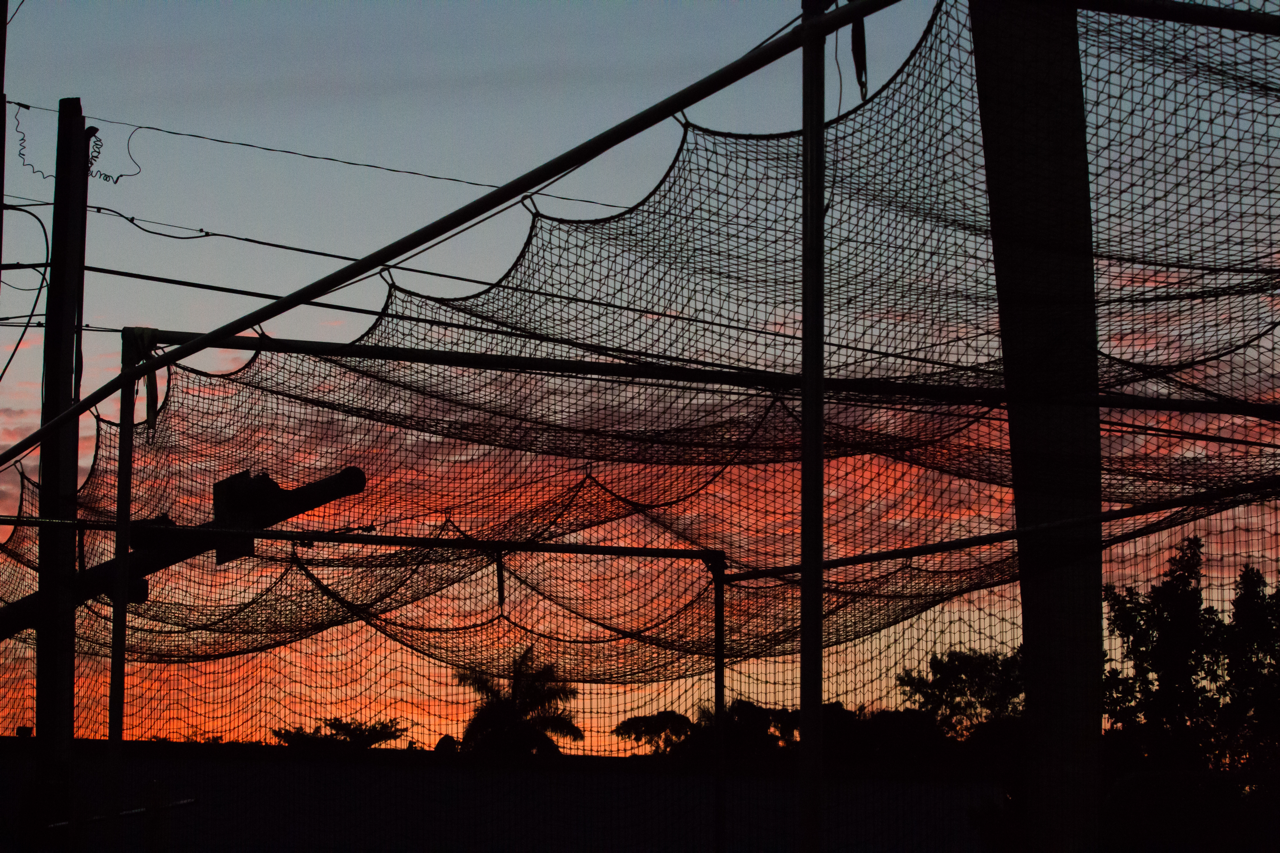 A Netted Batting Cage in Front of the Sunset at Boonville, MO's Ballparks Central