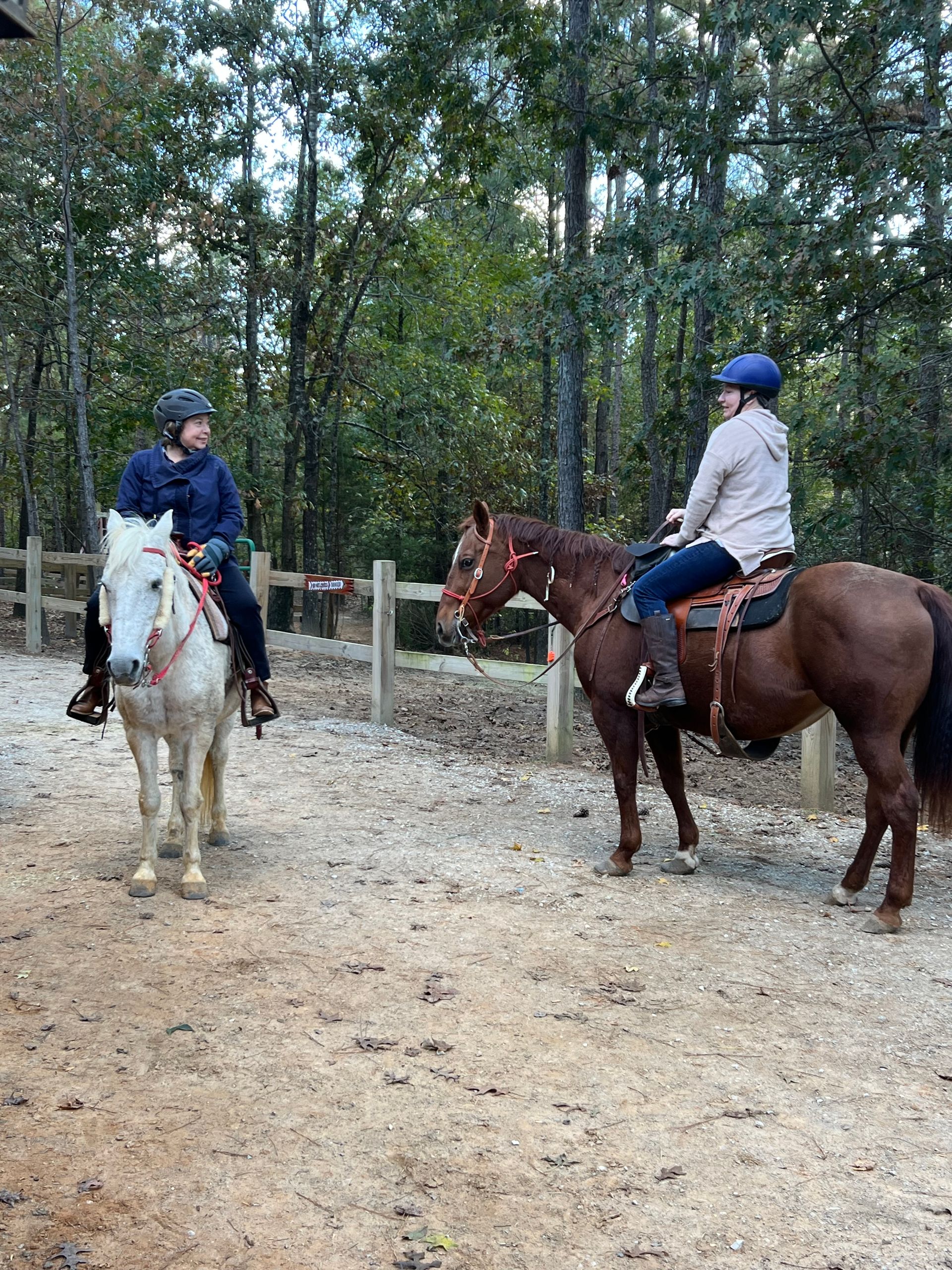 Two people on horseback in a wooded area, near a wooden fence. One horse is white, the other brown.