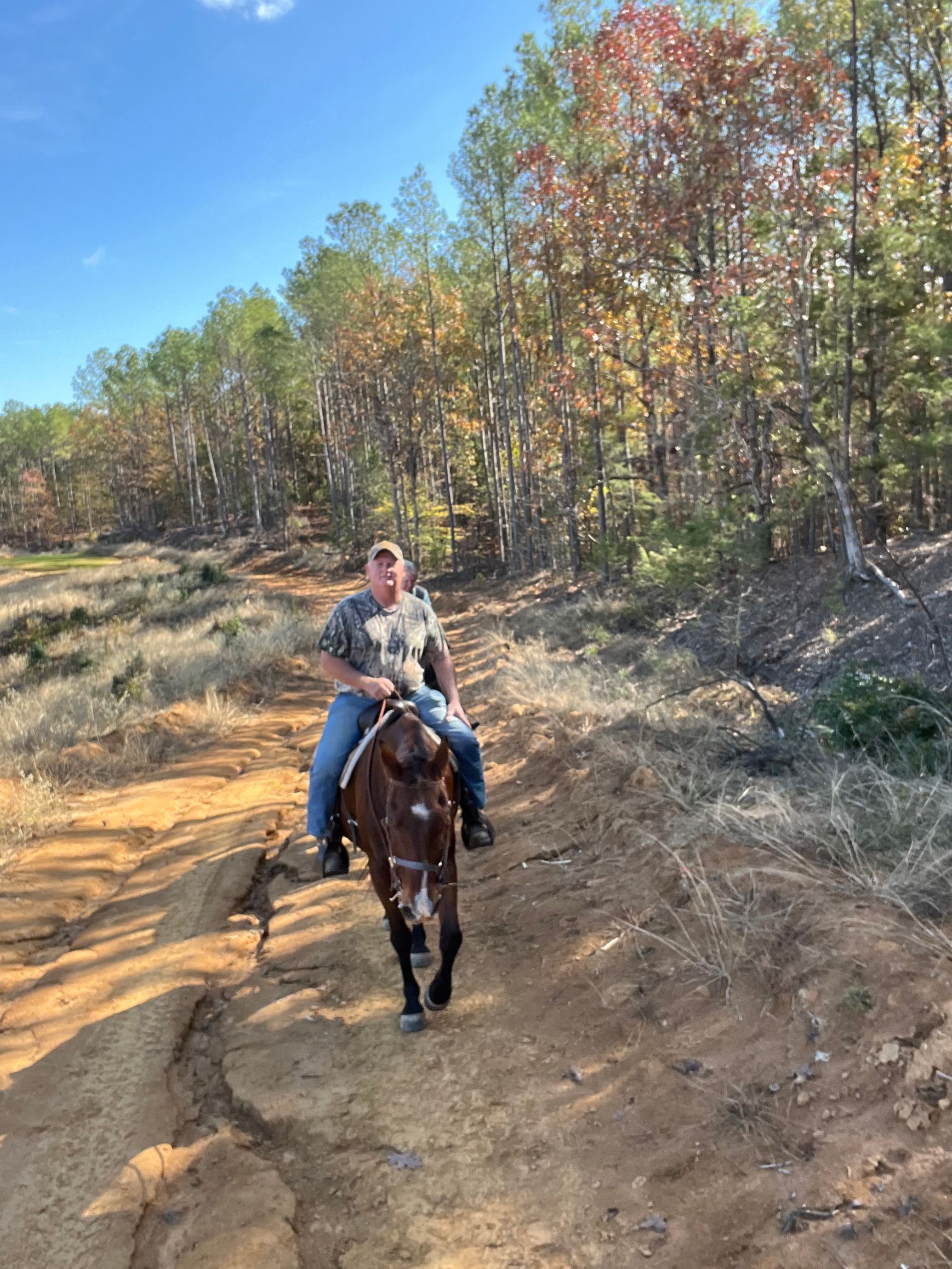 Man on horseback, riding on a dirt trail lined with trees. Sunny day, fall colors.