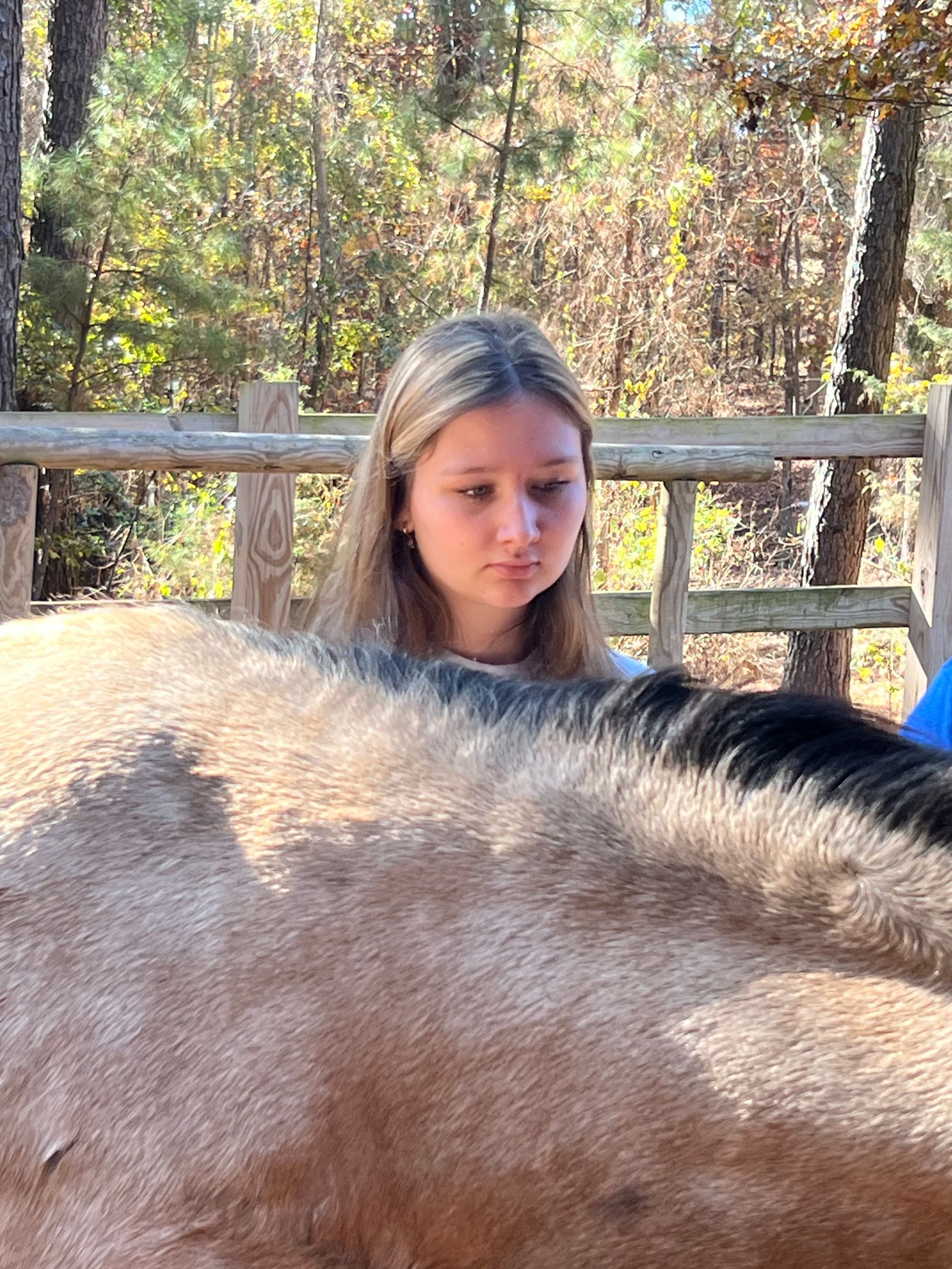 Blond girl looking down at a tan horse. They are outdoors near a wooden fence and trees.
