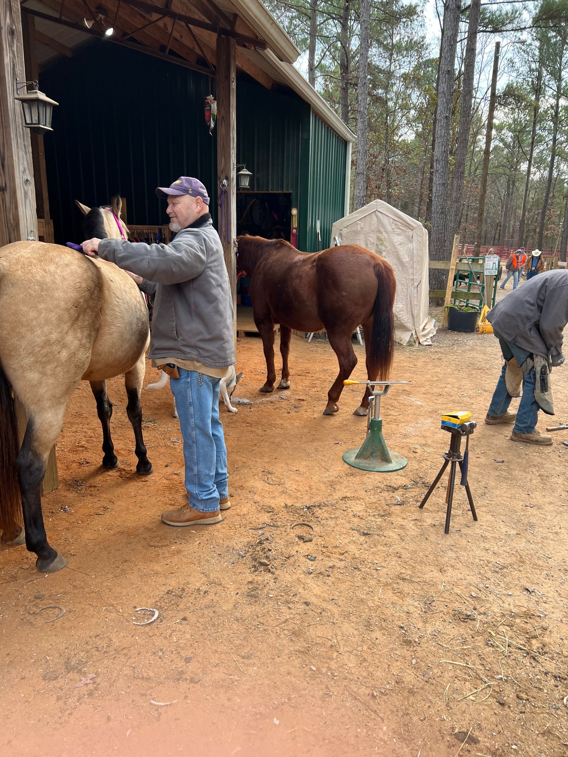 Man brushing a tan horse, another brown horse nearby, and farrier working on another horse's hoof near a stable.