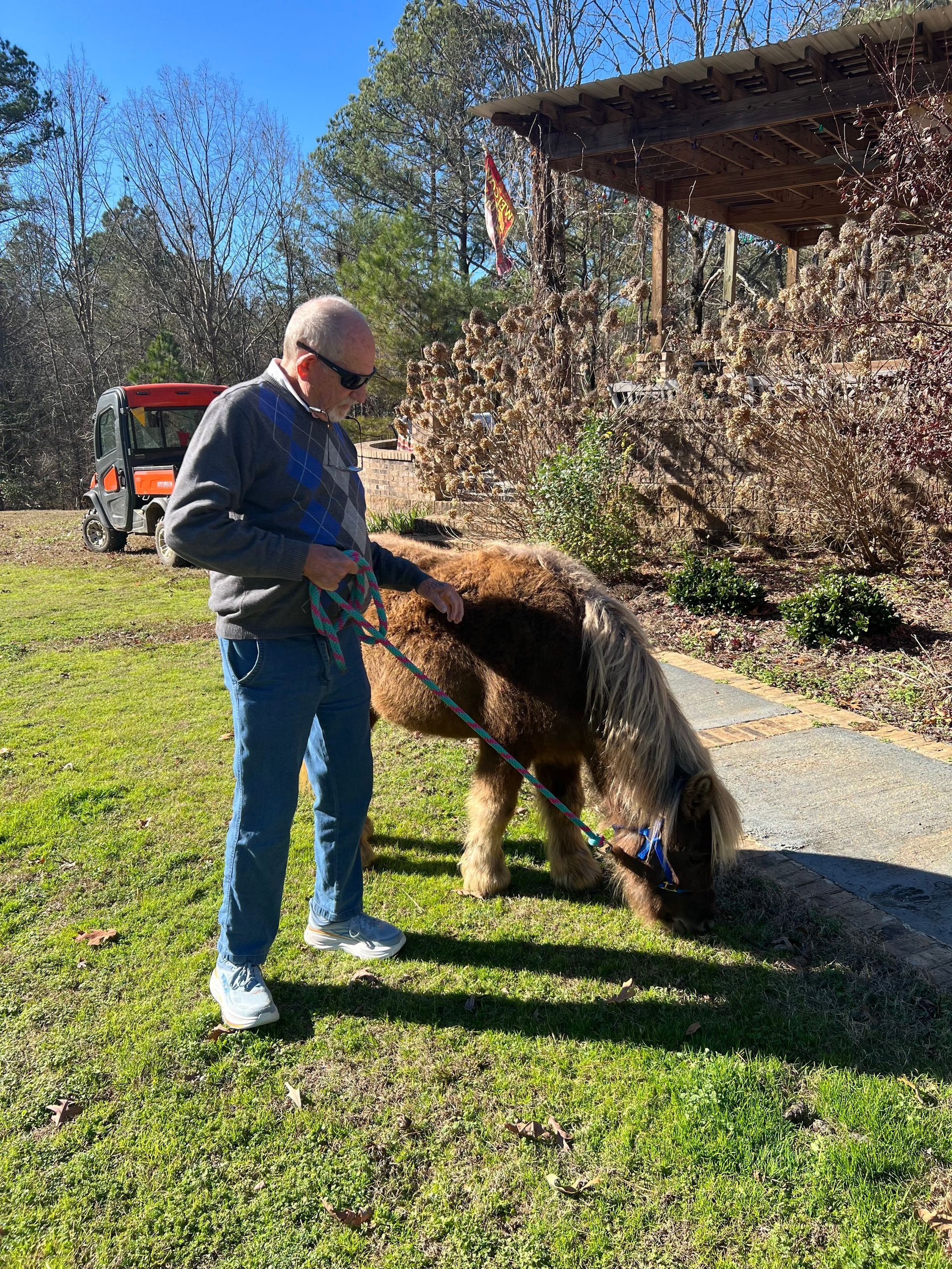 Man with sunglasses leads a small brown pony with a leash on a grassy area, sunny day.