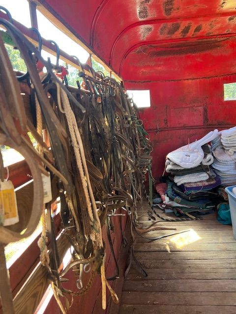 Inside a red horse trailer, many leather bridles hang; saddle pads and other equipment sit nearby.