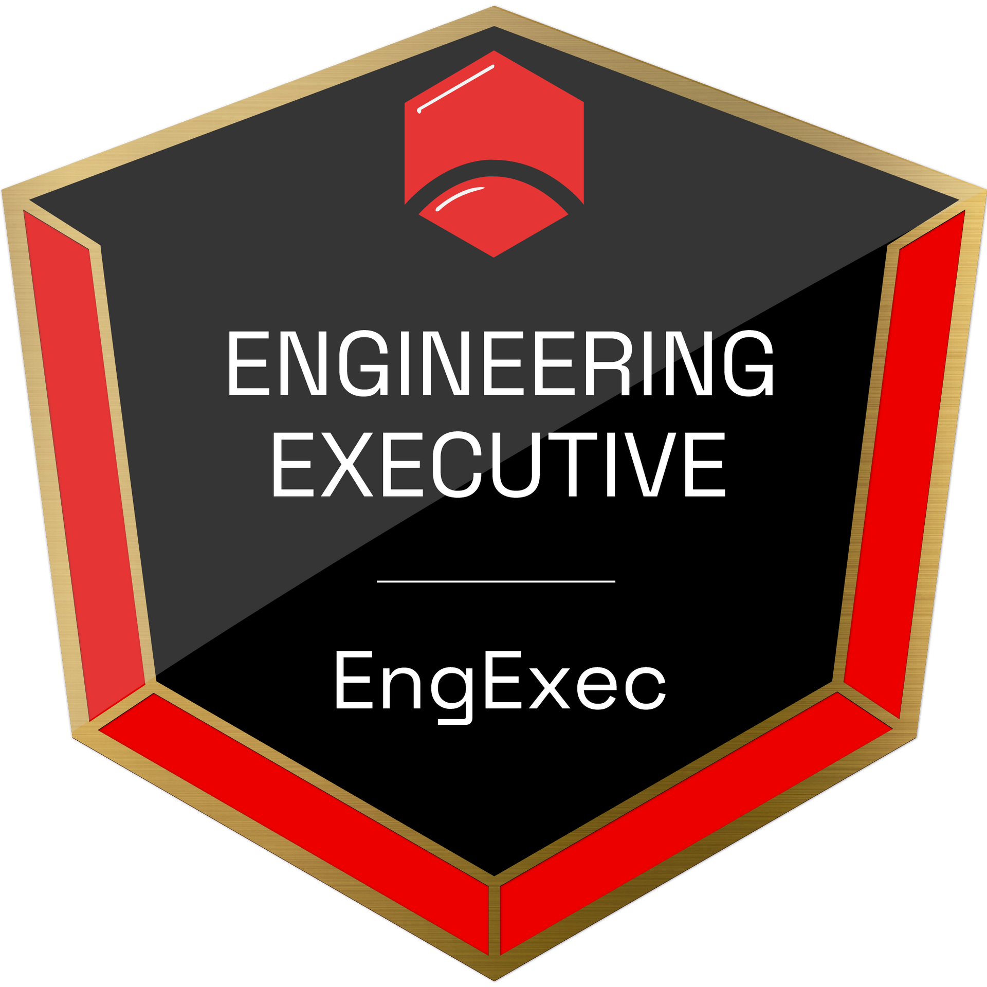 ENGEXEC ENGINEERING LOGO