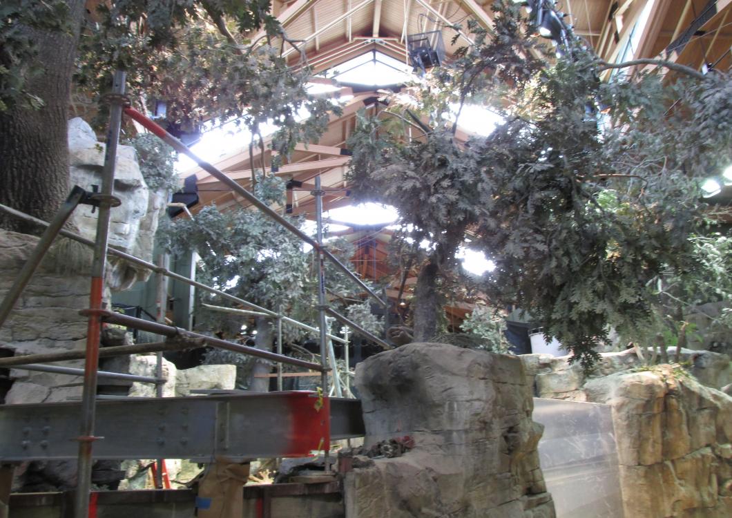 Local business during a painting project with Dayco.