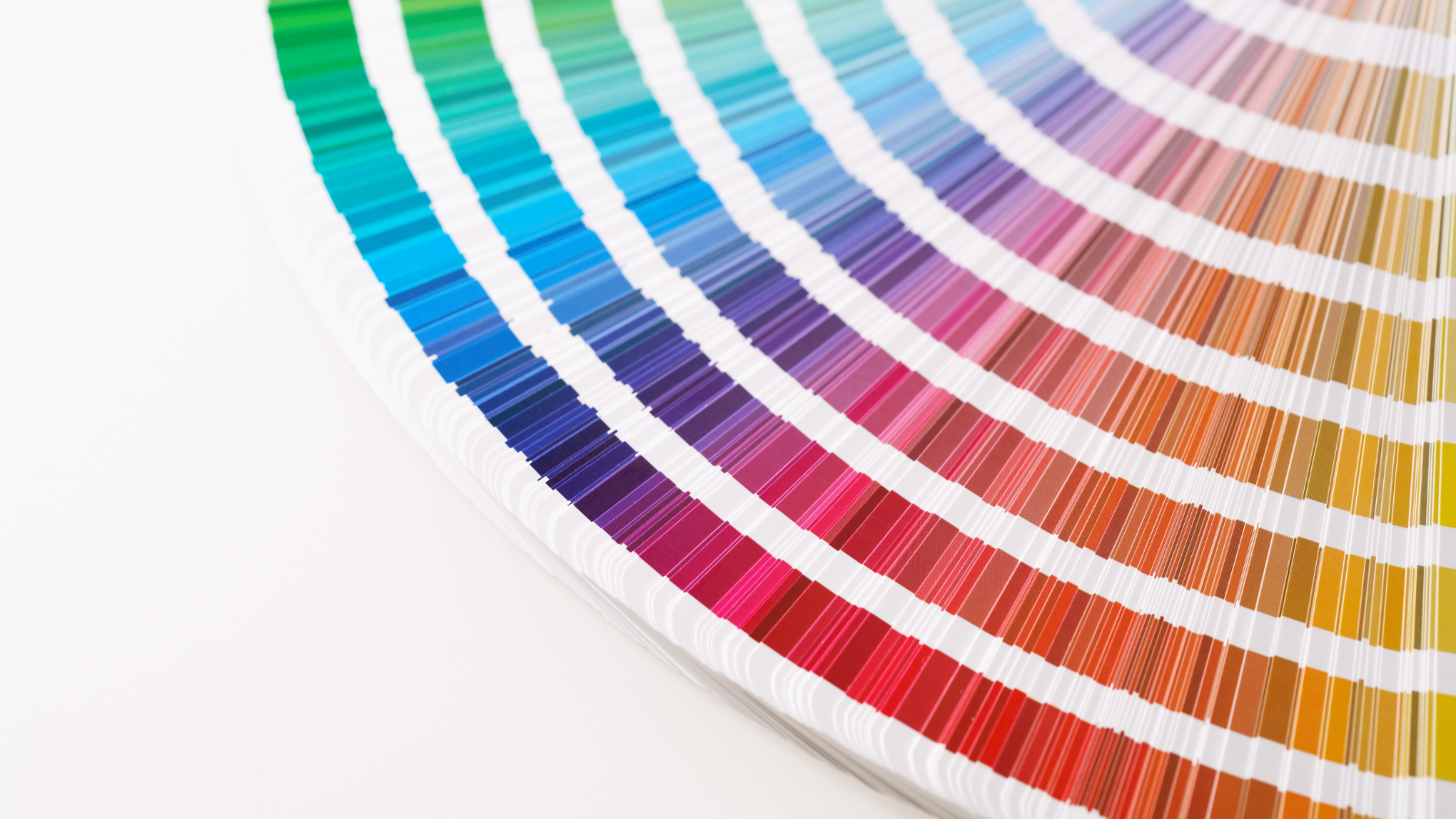 Business Interior: 2024 Trending Interior Paint Colors