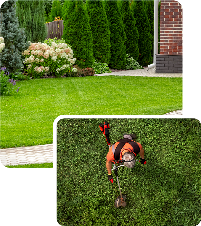 Green lawn being mowed, person using a string trimmer.