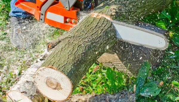 A white tree is sitting on top of a pile of logs on a green background.